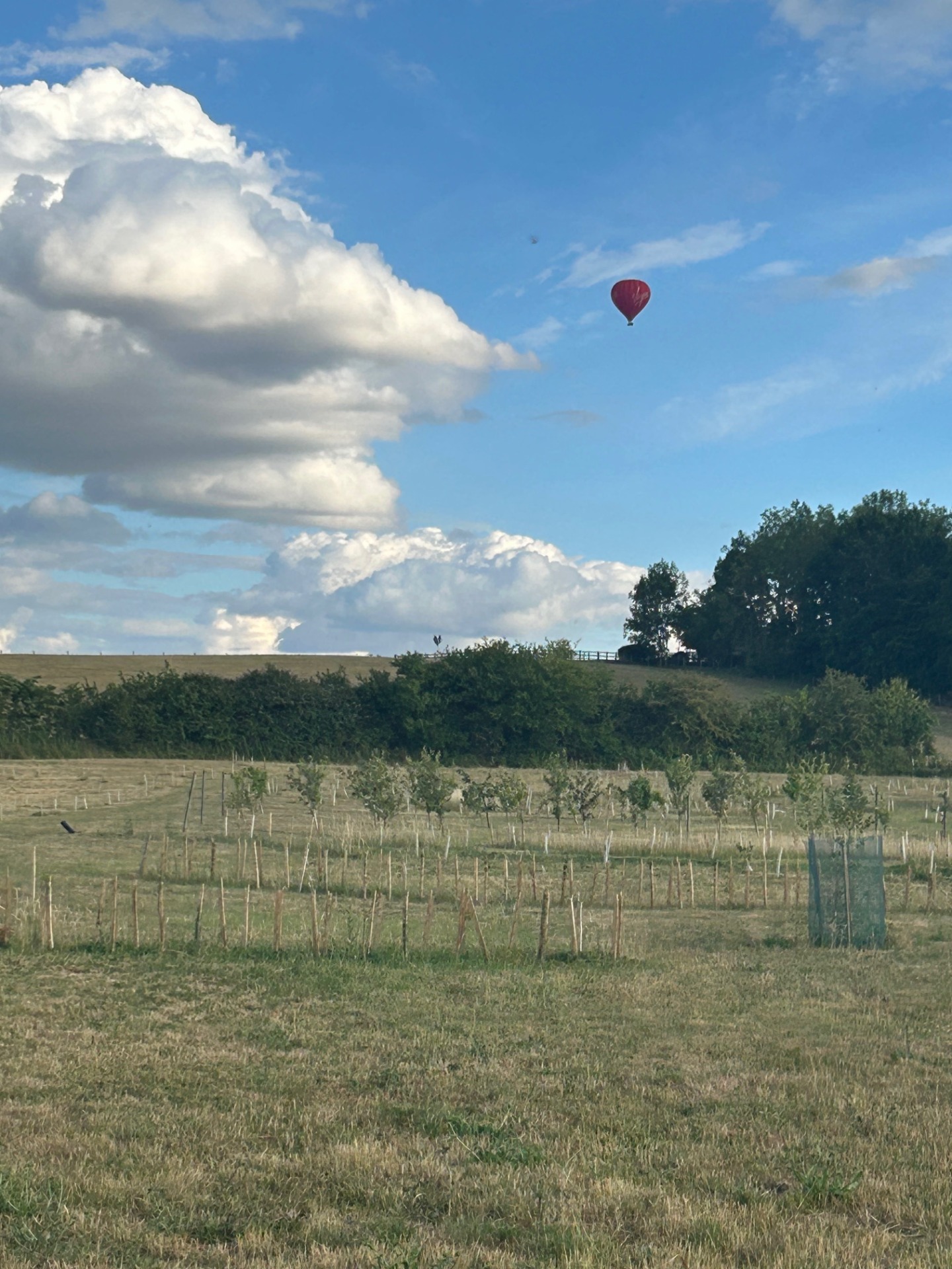 Brambles Glamping