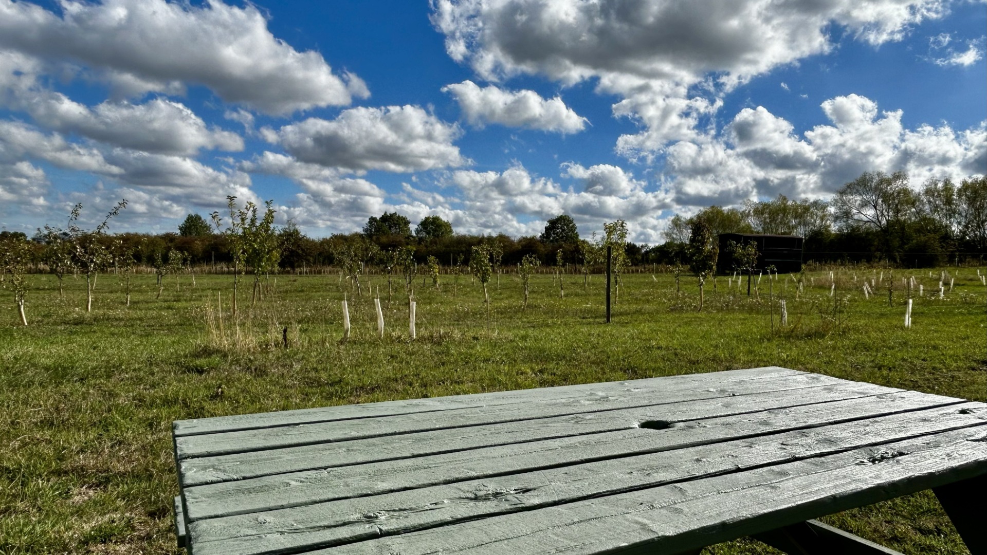 Orchard View at Brambles Glamping