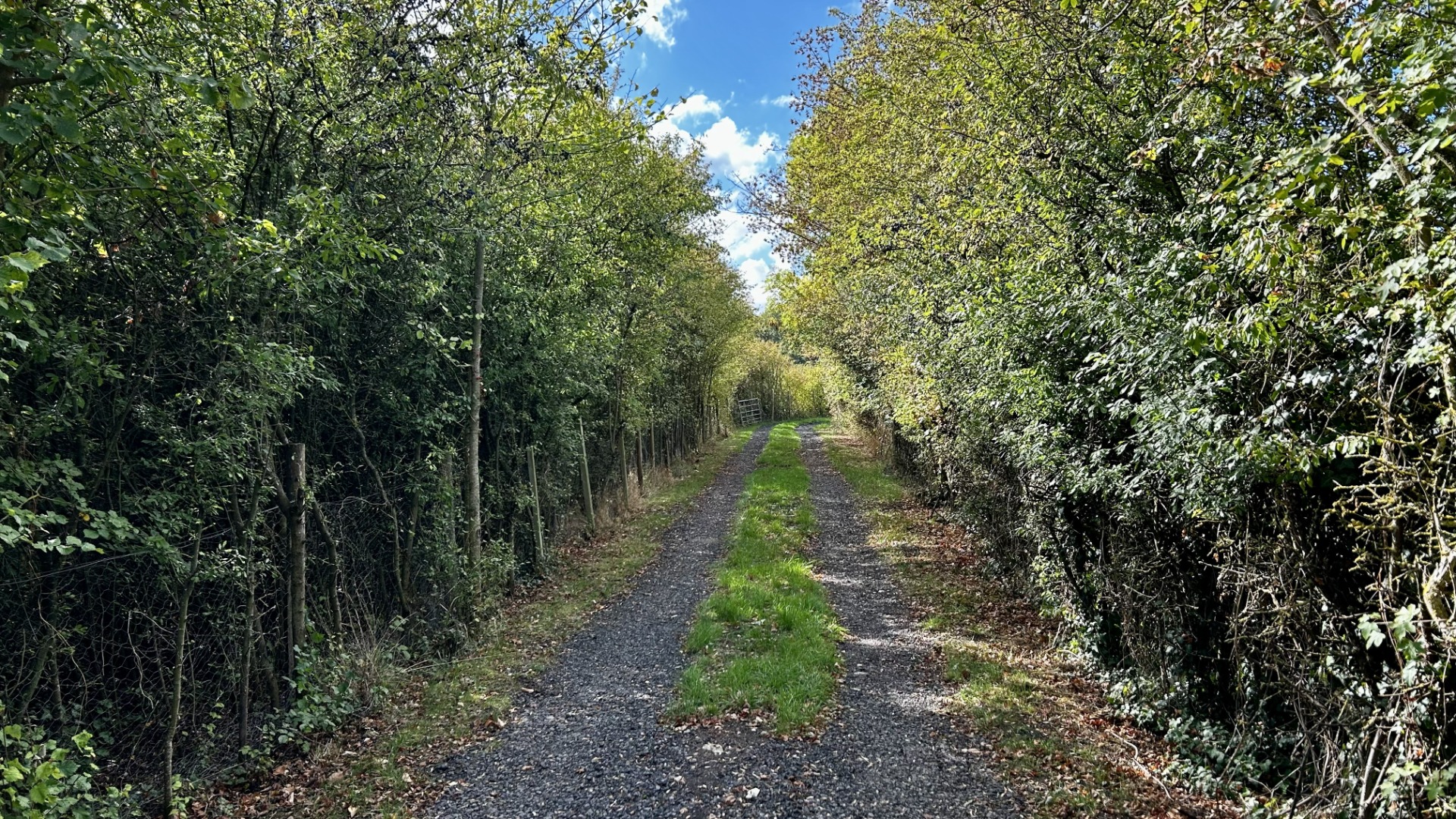 Lane leading to Brambles Glamping Car Park