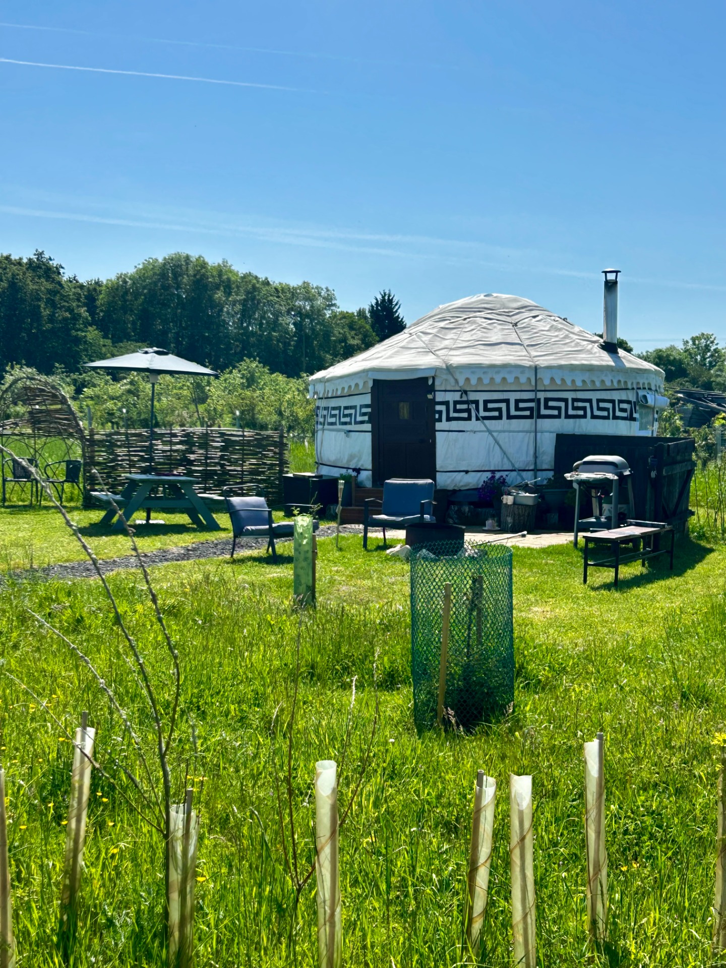 Primrose Yurt