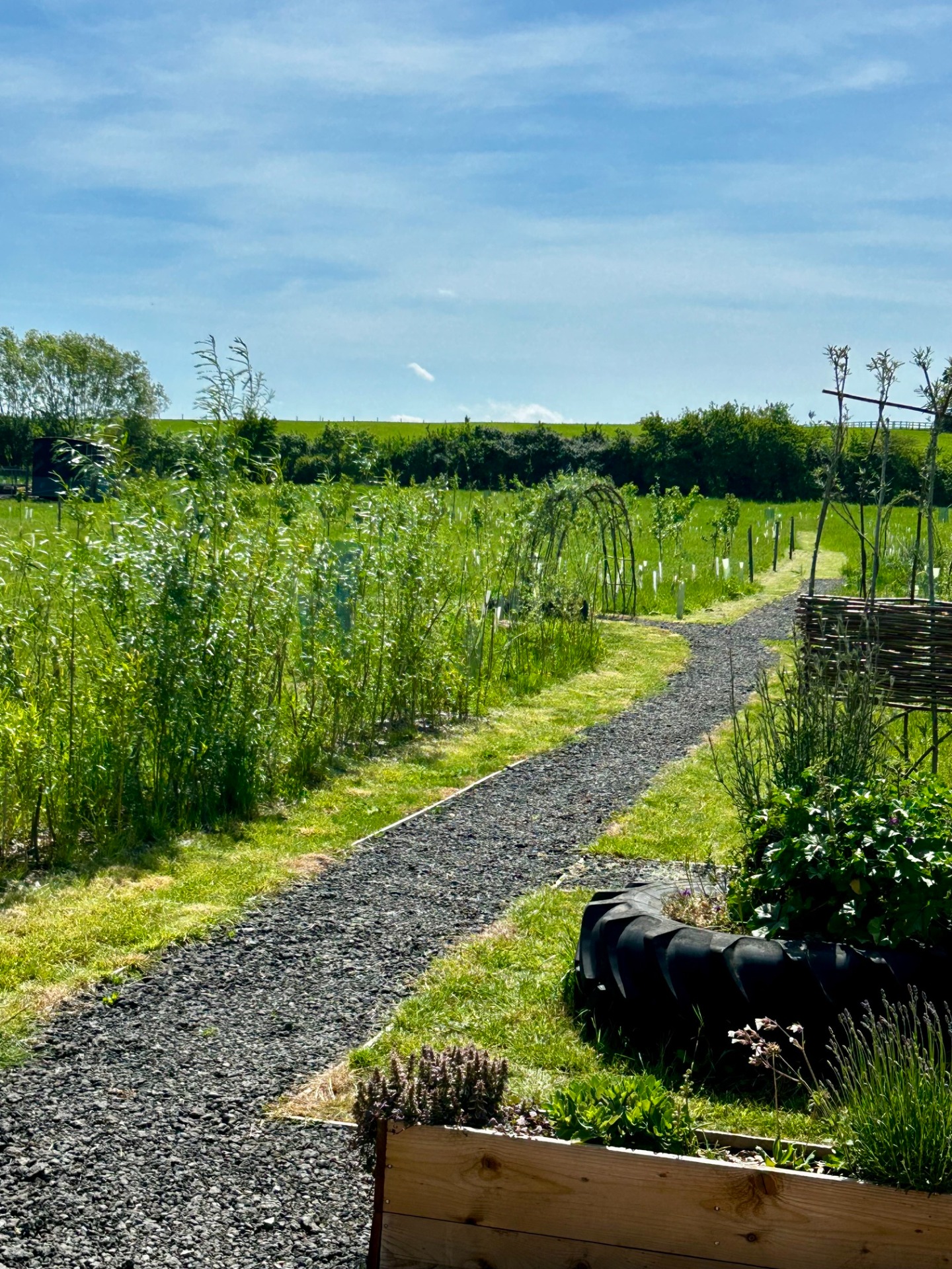 Brambles Glamping June 2026